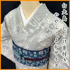 白大島紬  裄67㎝  正絹  美品 お値下げ❕ 2026年最新】白大島紬 裄67の人気アイテム - メルカリ