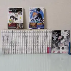 DVD　文豪ストレイドッグス　第1~第5シーズン、劇場版　全25巻　不織布ケース DVD 文豪ストレイドッグス 第1~第5シーズン、劇場版 全25巻 不織布