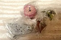ファンタスティックビースト ヘドウィグピグミーパフマンドレイク 3点セットのサムネイル