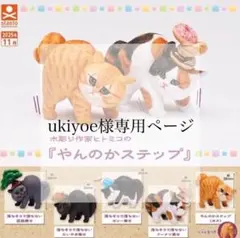 ukiyoe様専用ページ