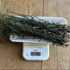 Item thumbnail for item de311133-6fc8-4b07-a82d-dde0cdadd636