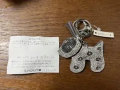 Item thumbnail for item 24631385-d9fa-4b02-ba1f-e231fc96f17b