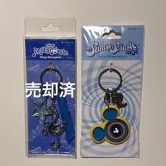 東京ディズニーランド　キーチェーン