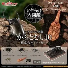 いきもの大図鑑 かぶとむし10 オンライン版 コンプリートセット