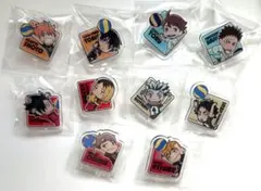 【ハイキューコンプリート】ハイキュー‼︎ アクリルクリップ clip 全１０種