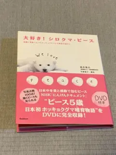 Item thumbnail for item aa5826b3-8b0e-4b27-9cf1-8d7184c9690b