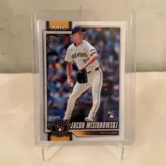 Item thumbnail for item 7c0fb67c-ac31-411f-9f8b-f4af6a7677b2