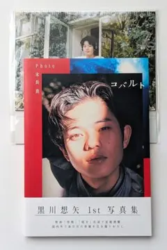 Item thumbnail for item e5b4f379-5da0-41fe-95e2-bcbedb1dd7f9