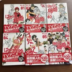 Item thumbnail for item 5d6698a6-6b16-48dc-a66f-209a18bf9794