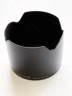 Item thumbnail for item d6cde6bd-3d9d-41a8-884d-ac9c61dbeaf2