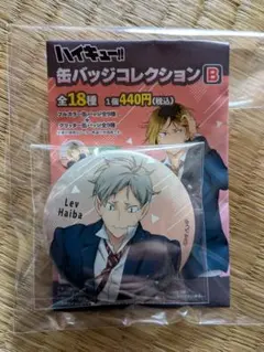 ハイキュー 缶バッジコレクション お天気版権 第一弾 灰羽リエーフ