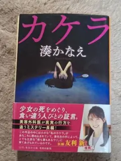 Item thumbnail for item 5c925b3e-5de6-4362-95c5-11aa9f1c3f25