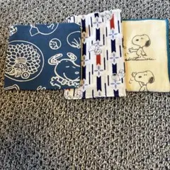 Item thumbnail for item 8bf28e9d-039c-4c80-9340-2cdaaea3ea0e