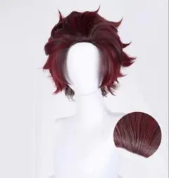 2026年最新】竈門炭治郎+ウィッグの人気アイテム - メルカリ