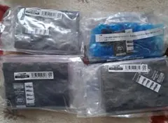 いきもの大図鑑　くわがた11　オンライン版 4点セット