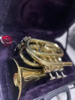 Item thumbnail for item 0d0a1af4-88d9-407e-95ab-06076a525350