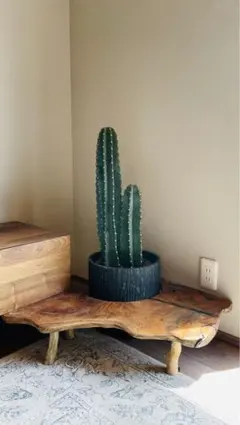 Item thumbnail for item 0ee960a1-5c63-43e5-b969-9fe00176759b