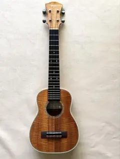 Item thumbnail for item 24188d14-0df7-4912-b34e-93dc08778e64