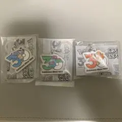 ポケモン 30周年 メタルチャーム