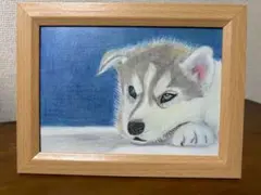色鉛筆画 子犬 木製フレーム付き