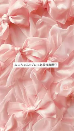 みぃちゃん*プロフ必須様専用•*¨*•.¸♬︎