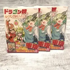 【シュリンク付き】ドラゴン娘になりたくないっ！1巻 ボルシャック・栄光・ルピアのサムネイル