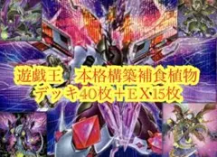 遊戯王【新規入り構築‼️】捕食植物デッキ40枚 - メルカリ