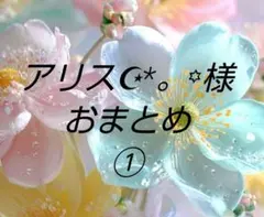 アリス☪︎*。꙳様 リクエスト 2点 まとめ商品