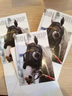 にゃんにゃん様 リクエスト 2点 まとめ商品