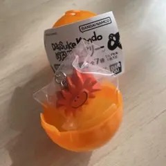 DaiSuke Kondo めじるしアクセサリー taiyo 太陽