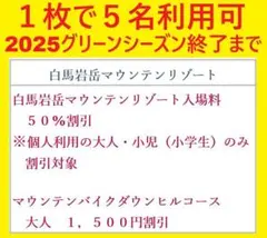 1枚で5名利用可白馬岩岳マウンテンリゾート入場料50%割引券1枚③
