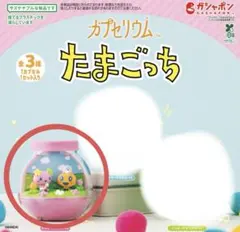 たまごっち カプセリウム めめっち ふらわっち