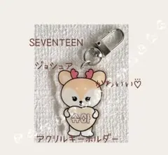 SEVENTEEN ✧ジョシュア✧かわいい♡⃛アクリルキーホルダー♪