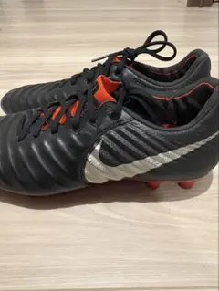 Item thumbnail for item 58e0fc85-310d-43f0-bf63-bf87ea1bc30f