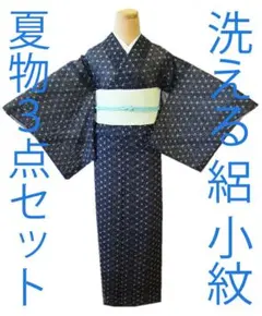 値下げ交渉OK！」夏物 洗える ポリエステル 絽 小紋 セット F384