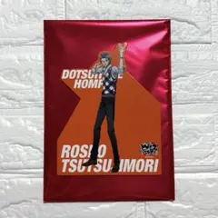 ヒプノシスマイク ヒプマイ レペゼンマルイ2025 スタンドポップ 躑躅森盧笙