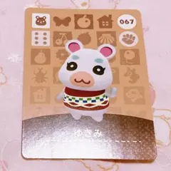 2026年最新】amiiboカード どうぶつの森 ゆきみの人気アイテム - メルカリ