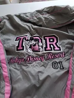 未使用　Lサイズ　 東京ディズニーリゾート パーカージャケット、アウター