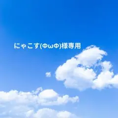 [にゃこす(ΦωΦ)様専用]