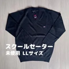 Item thumbnail for item c7b74d22-2c2a-48bc-bb60-b7e8bb71d395