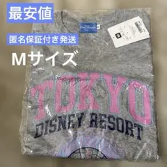ディズニーリゾート　Tシャツ　M シンデレラ城　東京ディズニーランド　新品