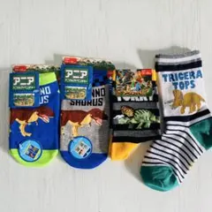 アニアキングダム　恐竜キッズ靴下