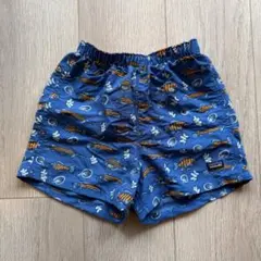 パタゴニア　バギーズ ショーツ