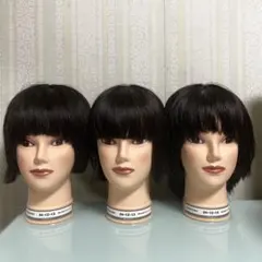 Item thumbnail for item 83dd8d5a-34f2-48db-958f-7899674a1294