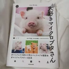 Item thumbnail for item aa1c3fe7-f6ff-4b32-81f1-d3786495ca26