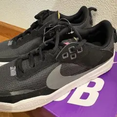 新品☆NIKE SB ナイキエスビー キッズ スニーカー スケシュー