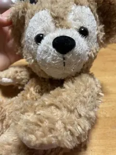 ダッフィー ショルダーバッグ　ダッフィー &フレンズ　TDS限定