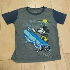 2026年最新】アウラニTシャツの人気アイテム - メルカリ