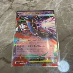 メガフラエッテex rr