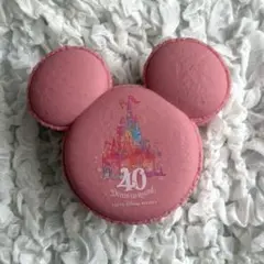 限定価格★ディズニーリゾート限定　40周年　小物入れ　スーベニア